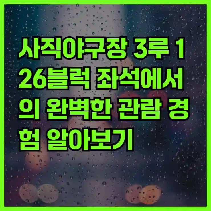 사직야구장 3루 126블럭 좌석에서의 완벽한 관람 경험 알아보기
