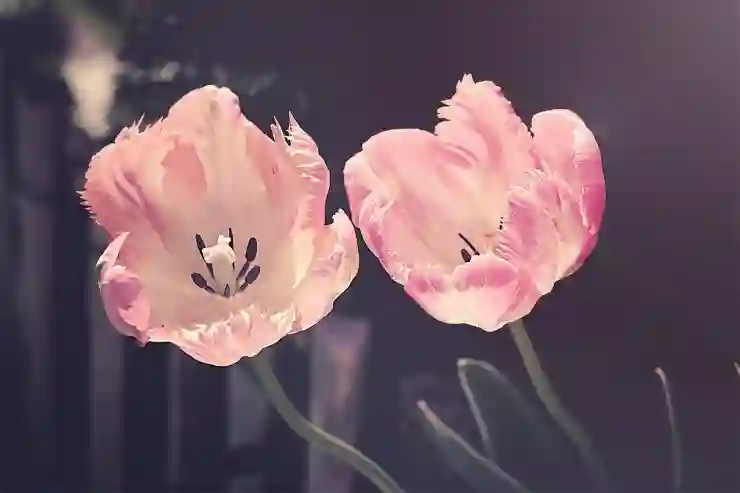 유튜브 시청기록 삭제 : 골라서 지우는 방법까지!