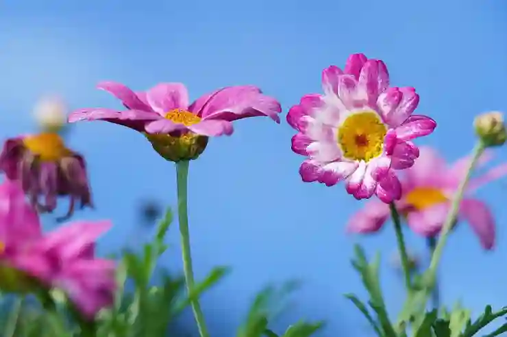 에포메이커 Galaxy70, 완벽한 무선 텐키리스 키보드의 매력 탐구하기
