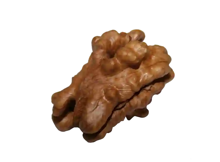PNG를 JPG로 쉽게 변환하는 비법 살펴보기