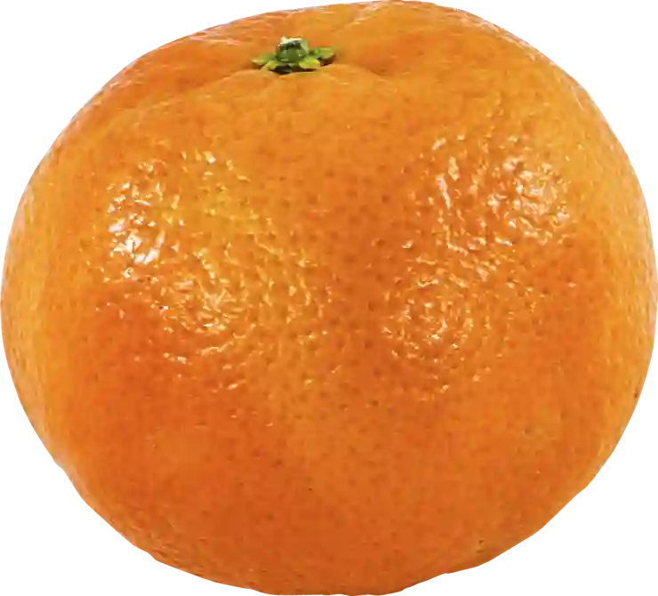 webp jpg 변환 방법 png 포함