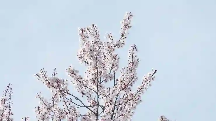 아이폰 들어서 깨우기 설정 해제 방법