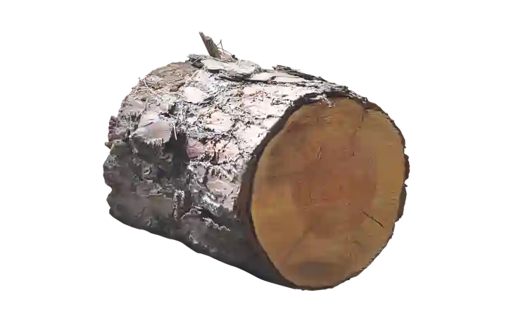 PNG JPG 변환 사이트 사용 방법