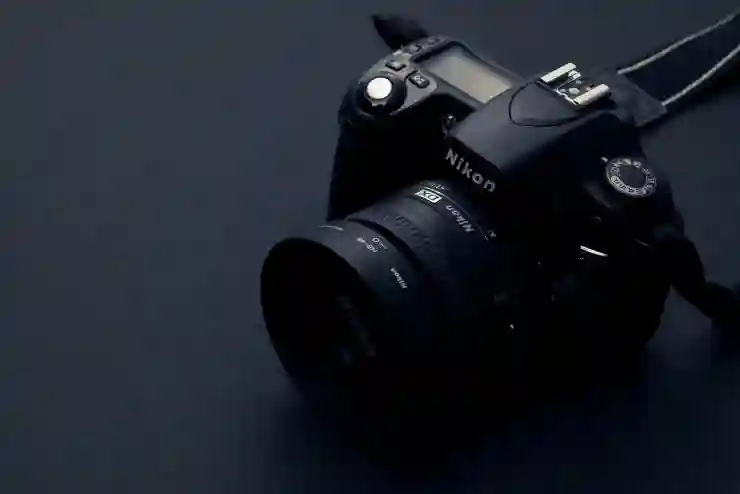 니콘 D500 D800 DSLR 카메라 비교 분석