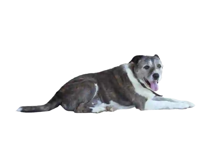 png jpg 변환 사진 파일 확장자 한 장부터 대량까지 한 번에 쉽게 하기