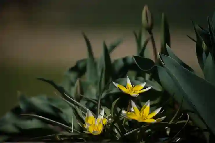 유튜브 바로가기 : 바탕화면 아이콘 만들기 크롬 북마크 추가하기