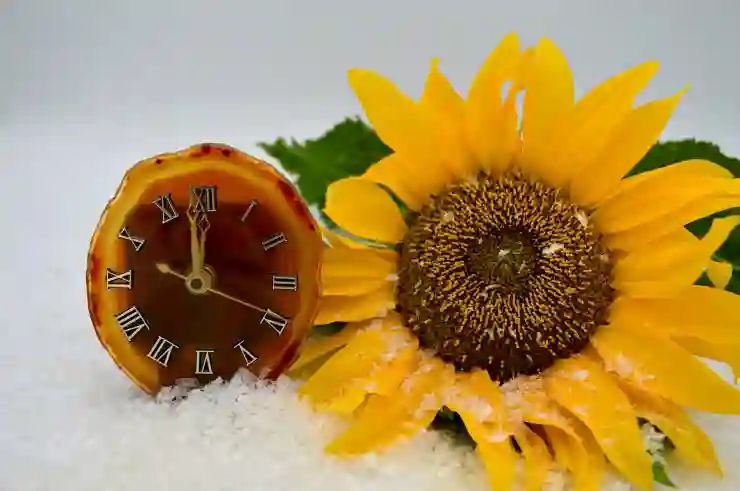 유튜브 수익창출 조건 변경 최신 정보 팩트 체크 구독자 조회수 시청 시간