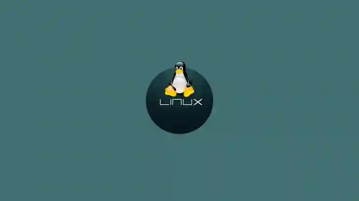 VMware Ubuntu 우분투 24.04 리눅스 설치 방법