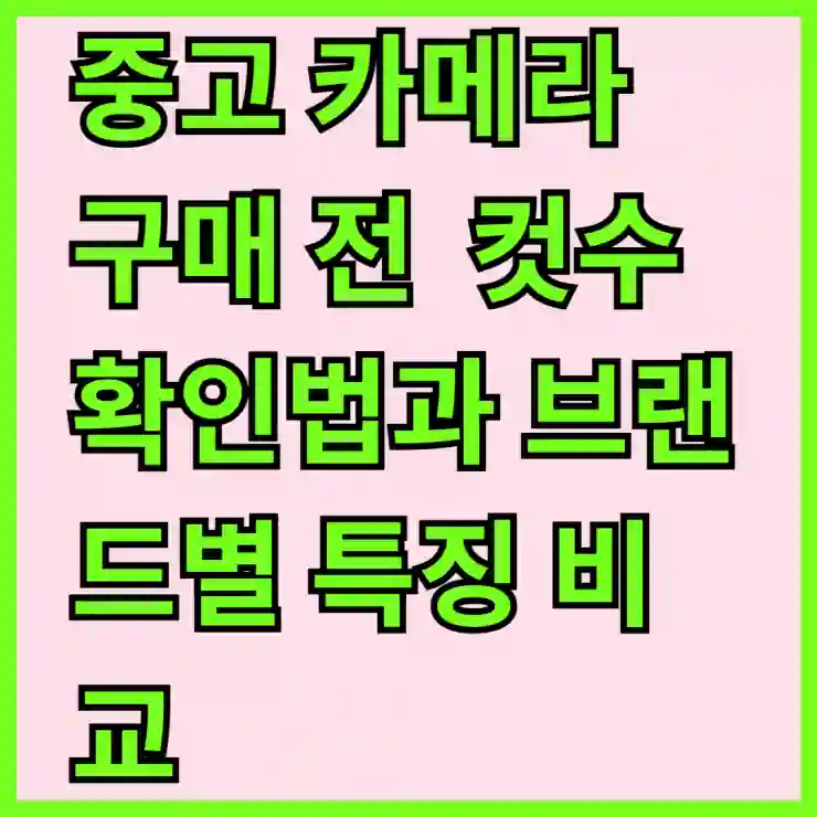 중고 카메라 구매 전 반드시 알아야 할 컷수 확인법과 브랜드별 특징 비교