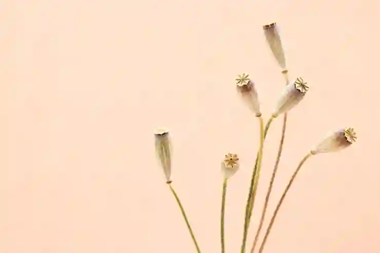 네이버 이미지 검색으로 사진 찾는 법 알아보기