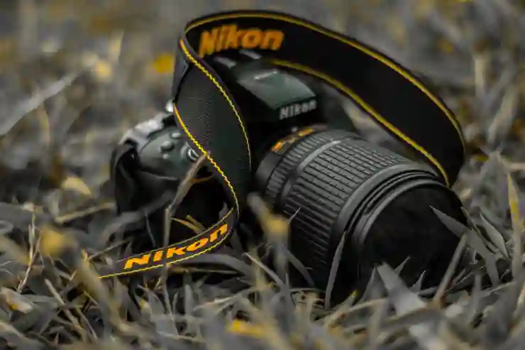 니콘 D500과 D800, 어떤 DSLR이 더 나에게 적합할까?