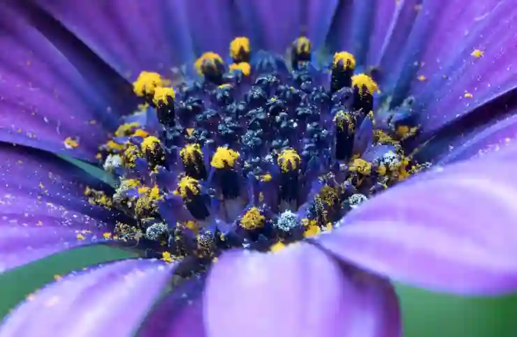 유튜브 썸네일 자동재생 끄는 법 알아보기