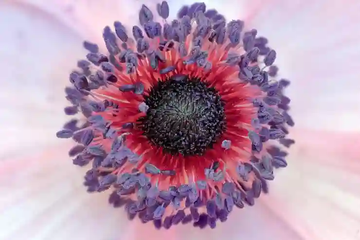뮤직플렉스로 저작권 걱정 없는 유튜브 쇼츠 수익화 비법 알아보기