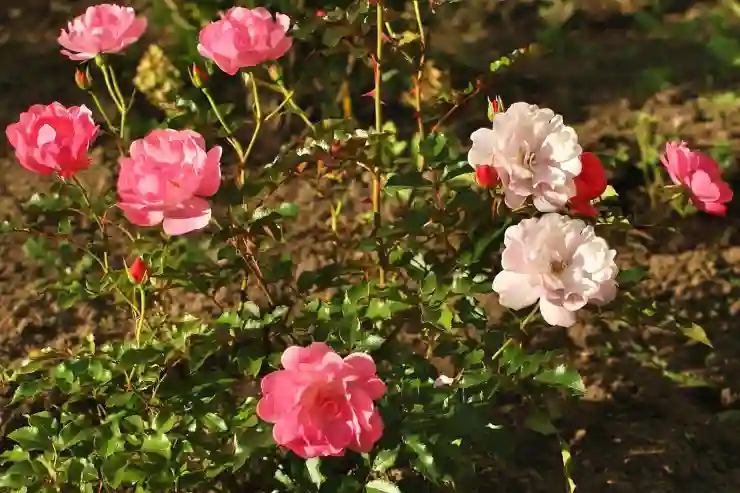 불법 라이선스 오토캐드 단속 공문 대응 전략 알아보기