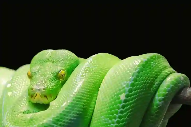 아나콘다 설치 PYTHON 파이썬 프로그래밍 준비하기