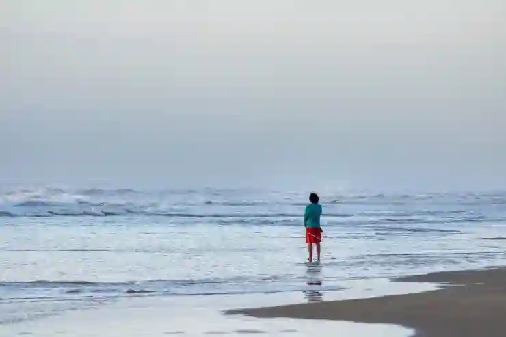 아이폰 최적화 설정 : 키보드 오타 줄이기, 용량 정리, 사파리 느림 해결