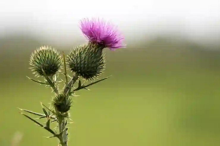 Pika art 슬라임으로 창의력 발휘하기! 사용법과 꿀팁 알아보기