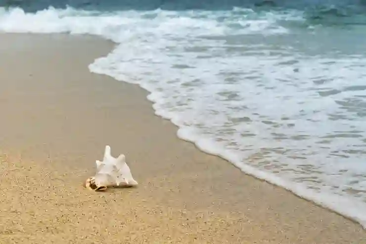브라운 시리즈 9 프로 플러스의 매력적인 특징 알아보기