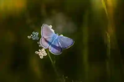 마샬 스탠모어2 블루투스 스피커 해외 직구 꿀팁 알아보기