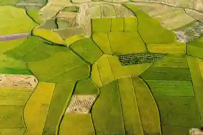 자연어처리 기술의 다양한 활용 분야 알아보자