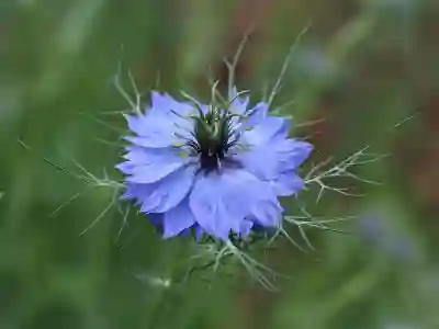 아이쏘우 터치 개봉기와 활용 꿀팁 알아보자