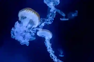 갤럭시 z폴드4, z플립4 출시일 및 사전예약, 언팩 전 주목할 점은?