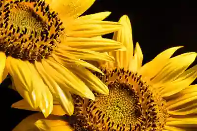 넷플릭스 국가변경 해외에서 스트리밍 방법 VPN 우회 (ft. ExpressVPN)