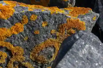 32인치 4K LG 게이밍 모니터 추천 울트라기어 32GQ950 후기