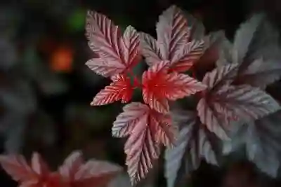 4K AI 스마트 학원 전자칠판 벤큐 RE04 시리즈