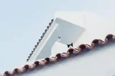 watchOS 10 애플워치 업데이트 방법, 스누피 워치페이스 반갑네!