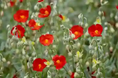 가성비 레노버 게이밍 노트북 추천 LOQ 15IRX9 (ft. 가격할인)