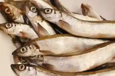 갤럭시 s24 fe 국내 출시, 가성비 스펙 맞아? (vs 플러스)