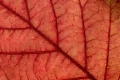 구글 크롬캐스트 3 4 이지캐스트 미라캐스트 차이점