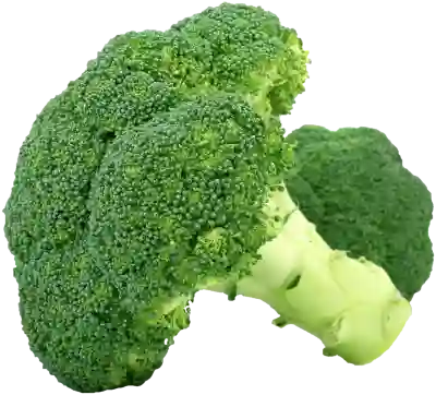 설문조사 만들기 이제 네이버폼 작성 대신 사이냅오피스