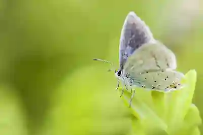 아이클라우드 저장공간 가격 및 확보 방법과 iCloud 사진 백업 삭제 사용법