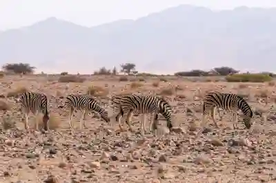 아이폰 다크모드 설정 사파리 웹브라우저 단독으로 가능해?