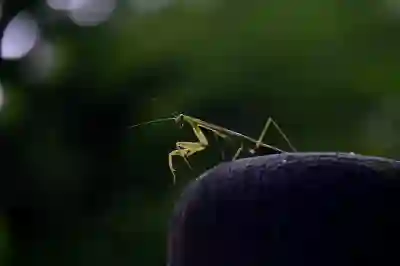 아이폰 충전이 안되요 안돼요 원인 해결 방법 찾기