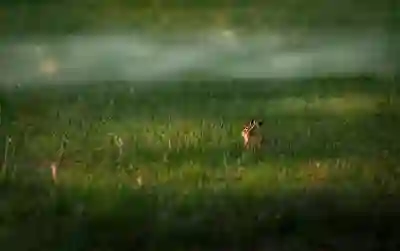 올인원 가성비 컴퓨터 일체형 PC 27인치 이그닉 R-IT 27A 2세대