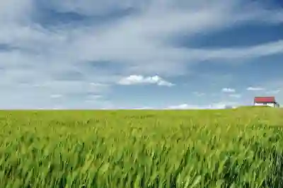 티빙 이용권 가격 베이직 스탠다드 프리미엄 요금제 화질 동시접속 차이