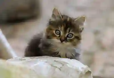 PDF JPG PPT 파일 변환 및 합치기 방법 알아보자