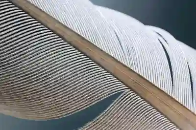 옵토마 UHD33으로 가정용 4K 빔프로젝터 선택하기