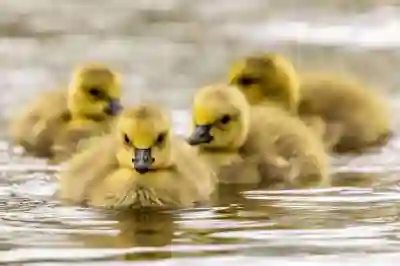 가족관계증명서 인터넷 발급 방법과 형제 포함하는 꿀팁 알아보자