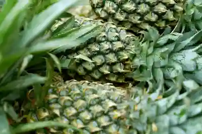 바이브에서 즐길 수 있는 오디오 콘텐츠의 매력 알아보자