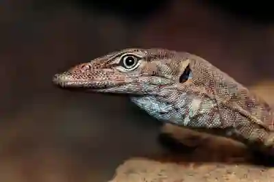 삼성 32인치 스마트 모니터 M5의 다양한 기능 살펴보자