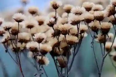 아이패드 배경화면 고화질 다운로드 및 변경 방법 알아보자