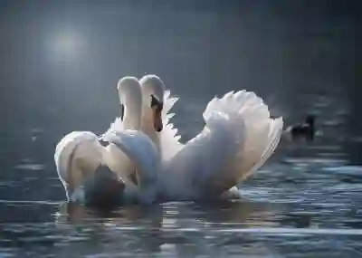 아이폰 날씨 오류 위젯 데이터 없음 해결하는 4가지 방법 알아보자