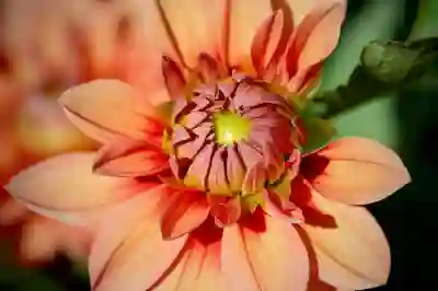 아이폰14 자급제 퍼플 구매 꿀팁 알아보자