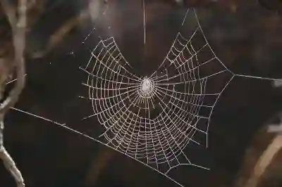 무료 파워포인트 PPT 템플릿 디자인 퀄리티 높이는 방법 알아보자