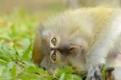 윈도우 바탕화면을 더욱 매력적으로 만드는 Wallpaper Engine 활용법 알아보자