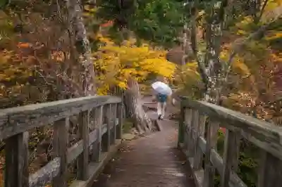 최대 158W 출력의 클레버타키온 G31CA GaN 충전기 알아보자